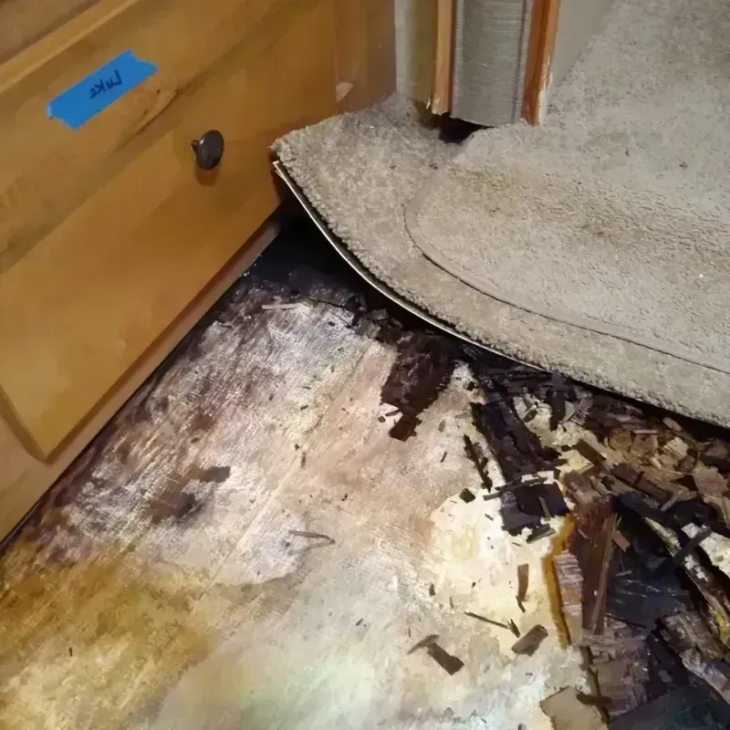 Wood Floor Water Damage in Jackson, MS